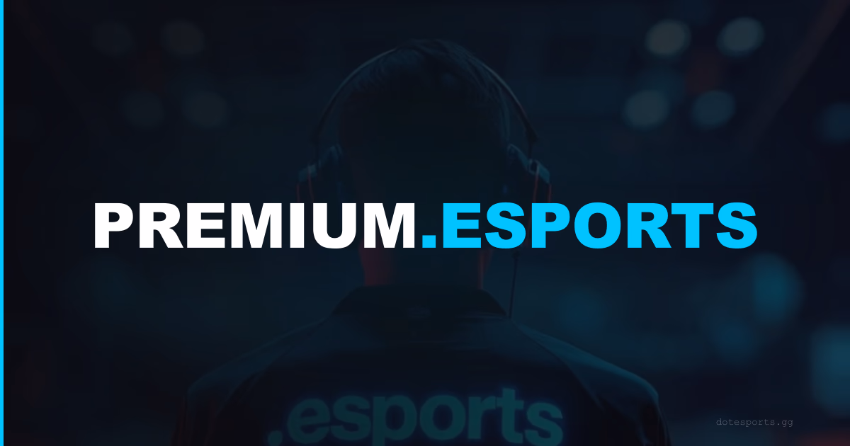 Premium Names in .esports — How They're Identified and Reserved